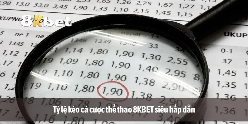 Tỷ lệ kèo cá cược thể thao 8KBET siêu hấp dẫn